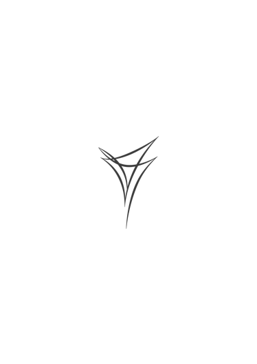 Varydes logo