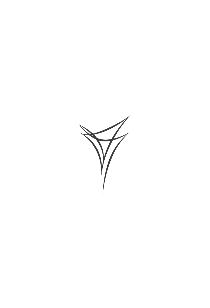Varydes Logo